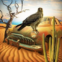 Escape Game: Lost in Desert