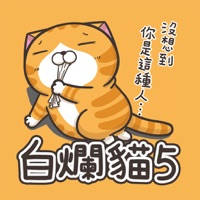 白爛貓5 – 超浮誇 白爛貓5 – 超浮誇