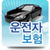 운전자보험 운전자보험
