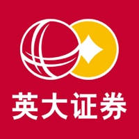 英大金点 英大金点