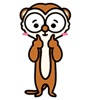 Lovely Meerkat Lovely Meerkat