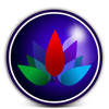 Chill & Relax Night Sky Stars Video & Sound