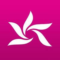 Peti element studio