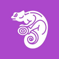 Camouflage Messaging Camouflage Messaging