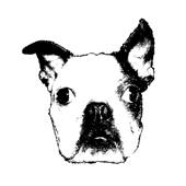 Gulu-Gulu Cafe Gulu-Gulu Cafe