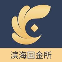 滨海国金所 滨海国金所