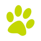 Budget Pet Products Budget Pet Products