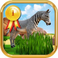 Zebra Safari Animals – Kids Game for 1-8 years old