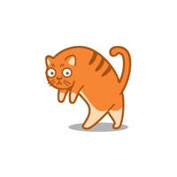 Catwalk – funny walking and talking cats & kittens