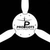 ProPilots 飛機