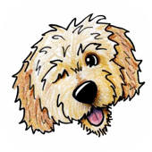 DoodleMoji – Emoji & Stickers DoodleMoji – Emoji & Stickers