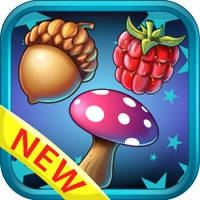 Candy big blast : Jungle garden saga match games