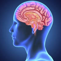Learn Brain Anatomy