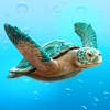 WikiTurtle WikiTurtle