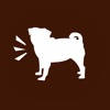Bad Pug – Creative Studio