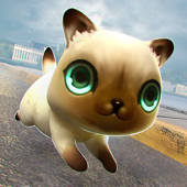 Kitty Cat Fantasy World