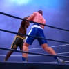 Knockout Punch Boxing – 3D Fighting Game