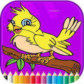 鳥圖畫書 – 活動小子 鳥圖畫書 – 活動小子