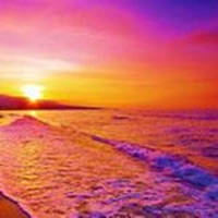 Palliative Medicine Pocketbook