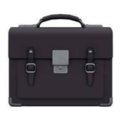 Leaving Cert Business 2019