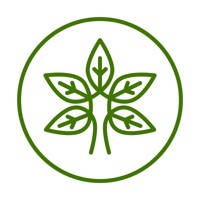 Yoga Daily Videos