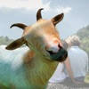 Goat stickers – 照片编辑器山羊贴纸 Goat stickers – 照片编辑器山羊贴纸
