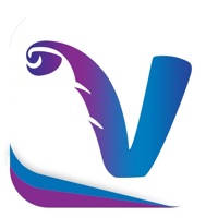 Vibing Ticket Vibing Ticket