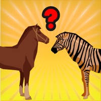 動物的孩子:容易的詞彙拼寫學習遊戲 動物的孩子:容易的詞彙拼寫學習遊戲