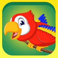 Learn about Birds