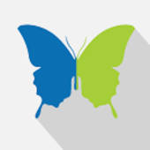 Lupie Diary – International Lupie Diary – International