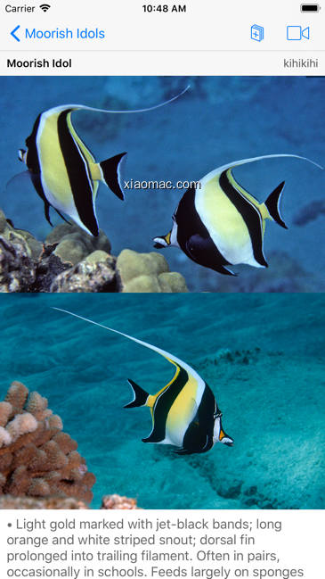 【图】Snorkel Fish Hawaii for iPhone(截图1)