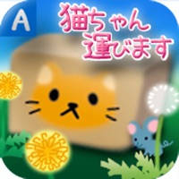 猫ちゃん運びます