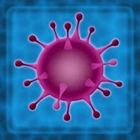 孢子。 感染 / Spores. Infection