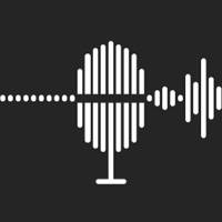大师变声器 – 恶搞变声器 & 声音特效器