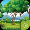 Sound OF The Forest – Exclusive Jungle Soundboard