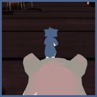 3D Catch Chase for Tom and Jerry 3D Catch Chase for Tom and Jerry