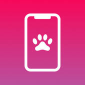 Cute Animal HD Wallpapers Cute Animal HD Wallpapers