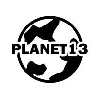 P13