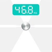 智能脂肪秤