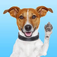 JackMoji – Stickers & Keyboard for Jack Russells