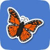 Animated Animal Stickers Animated Animal Stickers