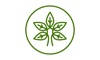 Yoga Daily Video Yoga Daily Video