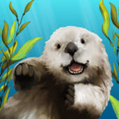 The Kelp Forest: My Aquarium The Kelp Forest: My Aquarium