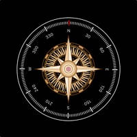指南针测量仪-GPS实时海拔表