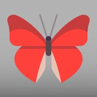 Butterfly Go! – Travel and catch them all