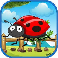 动物颜色测验 : Bug Animal Quiz