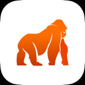 STEL Order – Invoices, CRM/ERP