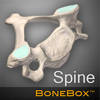 BoneBox – Spine Viewer BoneBox – Spine Viewer