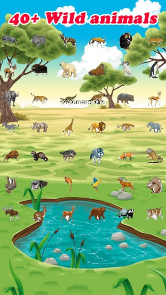 【PIC】Wild Animal Quiz Games for Kids(screenshot 1)