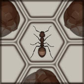 赶上蚂蚁 / Catch The Ant